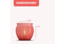 HS Candle Windlicht Set 4-teilig Glas Apricot mit Teelichtern Bild 1