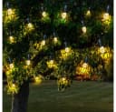 NOWA LED Solarleuchte Warmweiß Garten Dekoration Bild 3