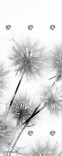 QUEENCE Garderobenleiste Pusteblumen Grau Acrylglas Bild 2