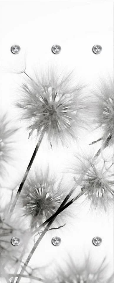 QUEENCE Garderobenleiste Pusteblumen Grau Acrylglas - Bild 2