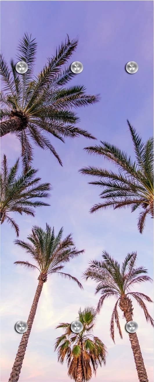 QUEENCE Garderobenleiste Palmen und Himmel Blau Dunkelgrün