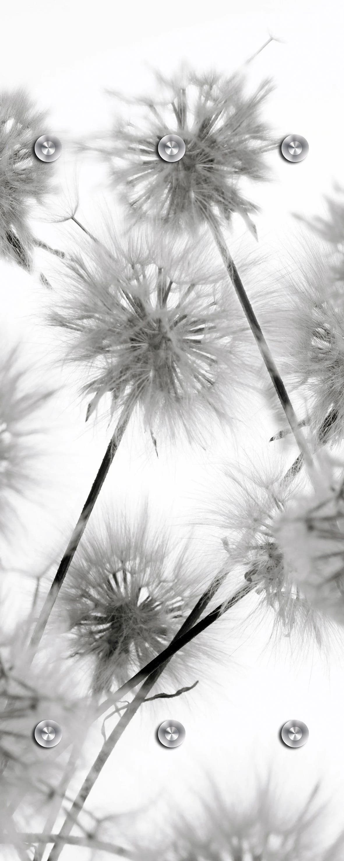 Garderobenleiste QUEENCE Blüte Grau mit 6 Haken