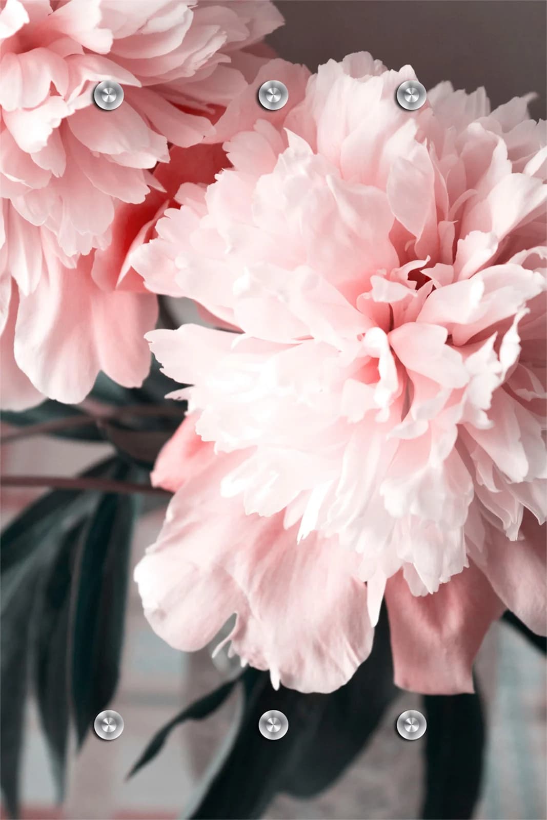 Garderobenleiste QUEENCE Blume Rosa mit 6 Haken