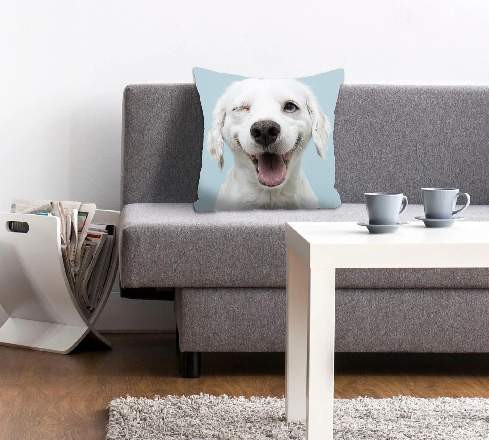 QUEENCE Dekokissen Crazy Dog Blau Weiß Hund Motiv 40x40cm