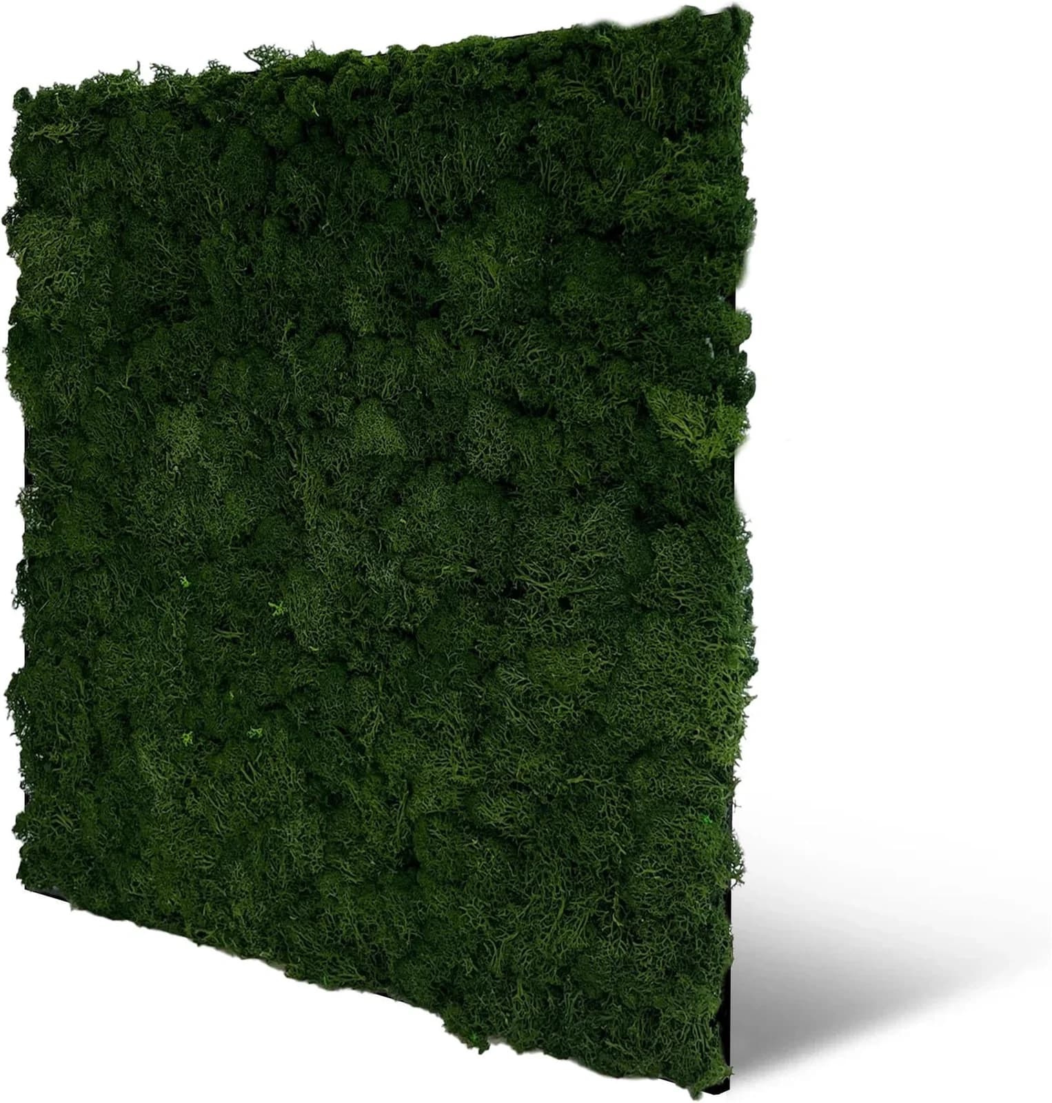 ARCHITECTS PAPER Wandpaneel Naturmoos Modular Wall Tannengrün