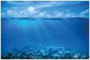 Wallario Wandfolie Unterwasserwelt Meer Blau Selbstklebend PVC Bild 2