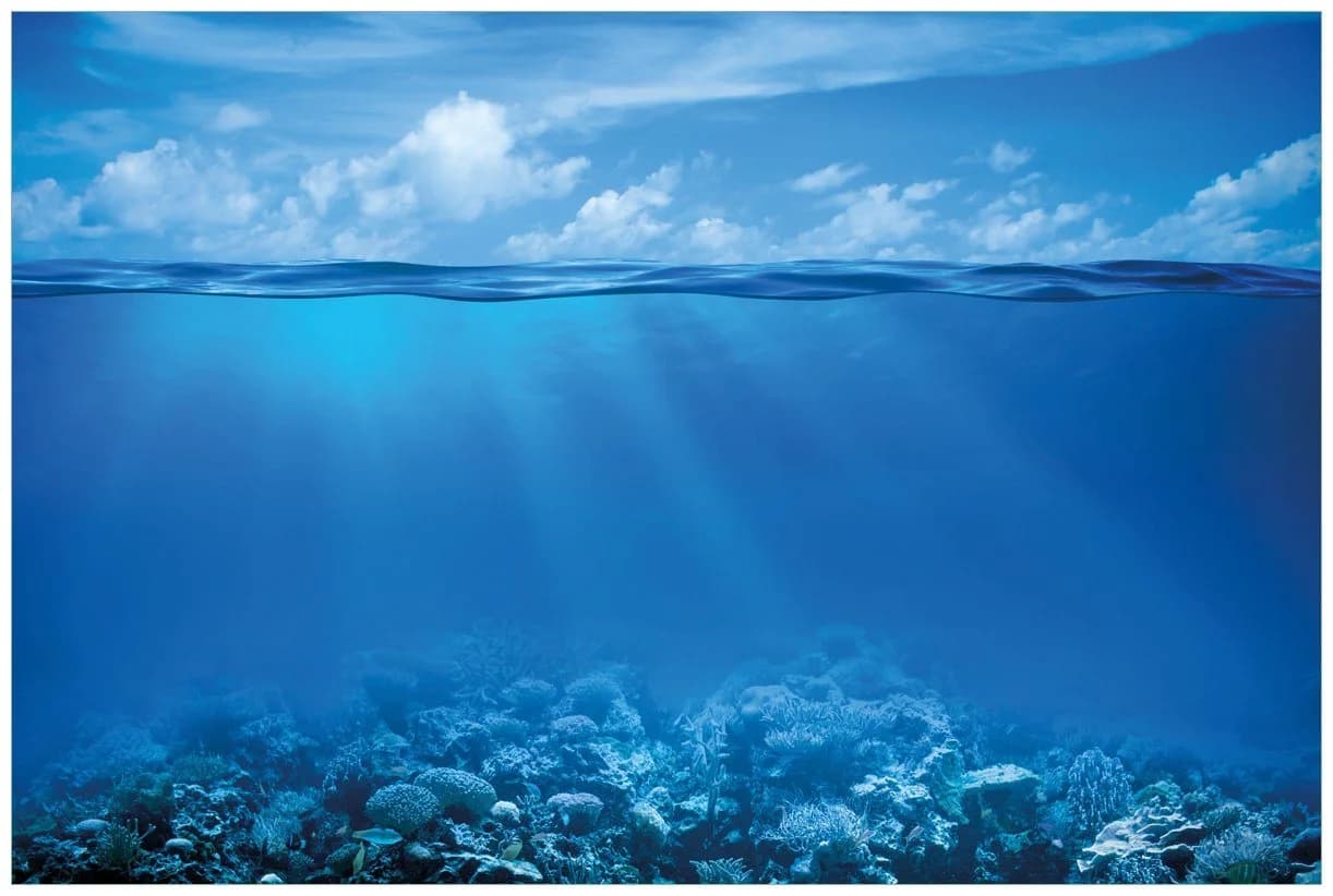 Wallario Wandfolie Unterwasserwelt Meer Blau Selbstklebend PVC - Bild 2