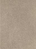 NIEHOFF SITZMÖBEL Top Chairs Esszimmerstuhl 2er-Set Beige Eiche Bild 4