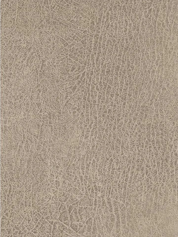 NIEHOFF SITZMÖBEL Top Chairs Esszimmerstuhl 2er-Set Beige Eiche - Bild 4