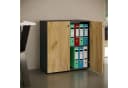 VCM Aktenschrank Lona 2fach mit Drehtüren Anthrazit Honigeiche Bild 4