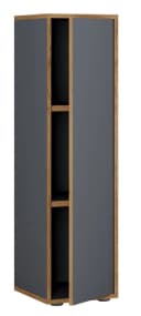 VCM Aktenschrank Salia 3-fach Anthrazit Holz mit Drehtür Bild 2