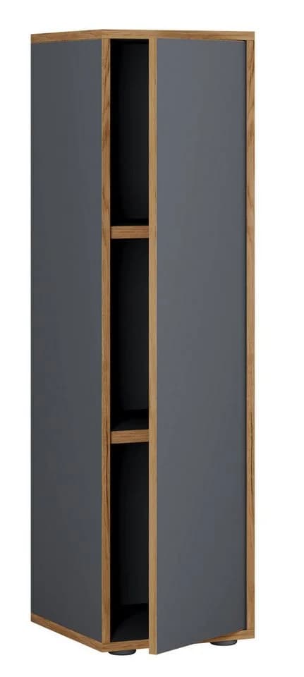 VCM Aktenschrank Salia 3-fach Anthrazit Holz mit Drehtür - Bild 2