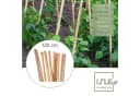 UNUS GARDEN Bambusstäbe 120 cm Set 100 St. Rankhilfe Natur Bild 1