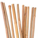 UNUS GARDEN Bambusstäbe 120 cm Set 100 St. Rankhilfe Natur Bild 2