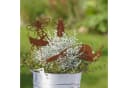 UNUS GARDEN Gartenstecker 5er Set Insekten Rostoptik Metall Bild 1