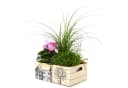 UNUS HOME Dekokiste 3er Set Weiß Holz mit Motiv Bild 3