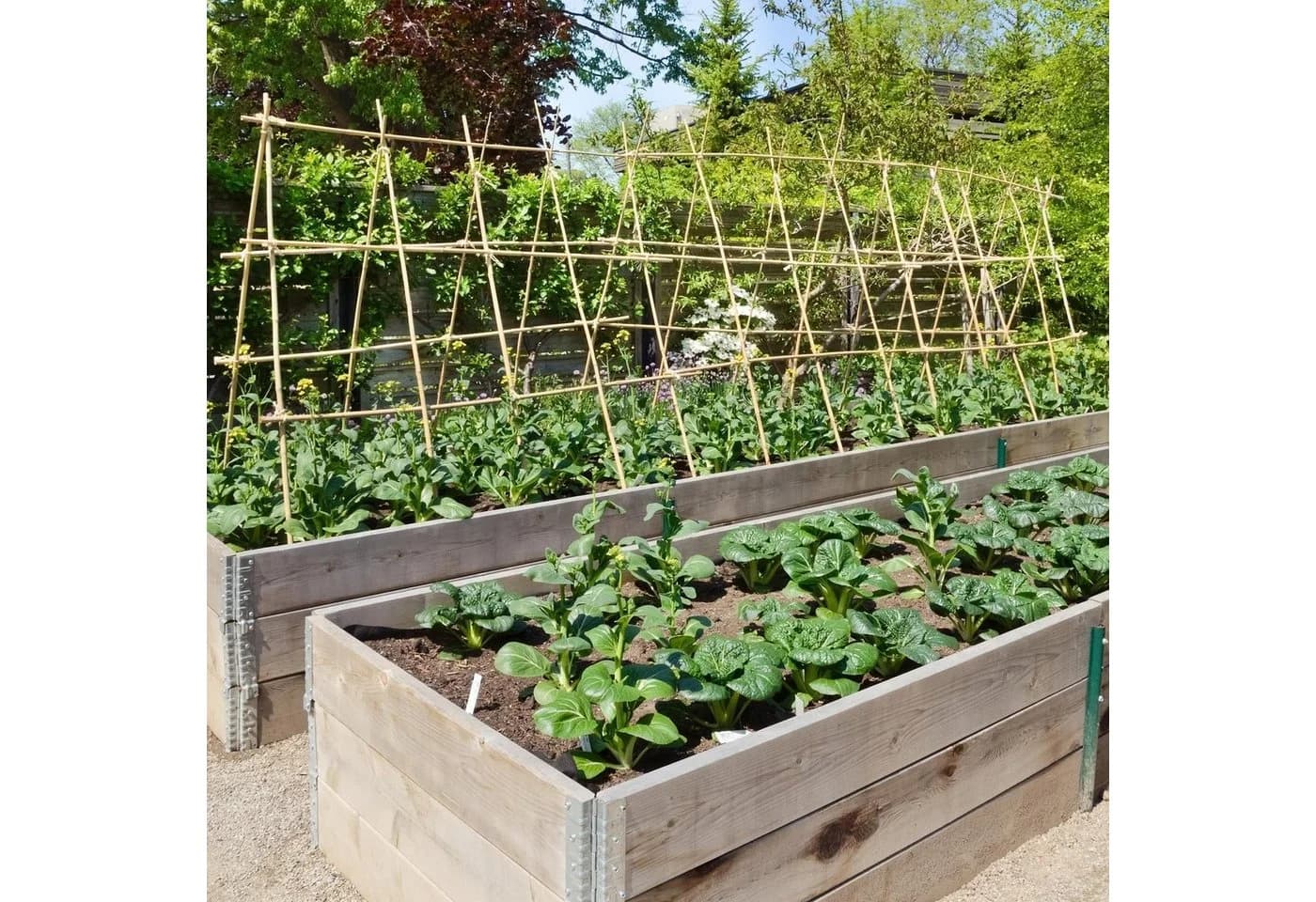 UNUS GARDEN Spalier Set 25 St. Bambus Rankhilfe Natur - Bild 5