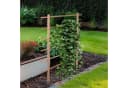 UNUS GARDEN Spalier Rankhilfe Leiter aus Holz Natur 100cm Bild 1