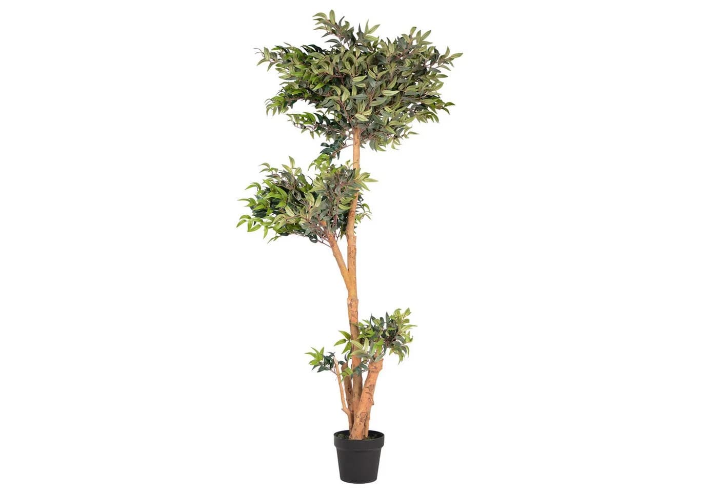 UNUS HOME Kunstpflanze Ficus mit Echtholzstamm Grün