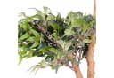 UNUS HOME Kunstpflanze Ficus mit Echtholzstamm Grün Bild 2
