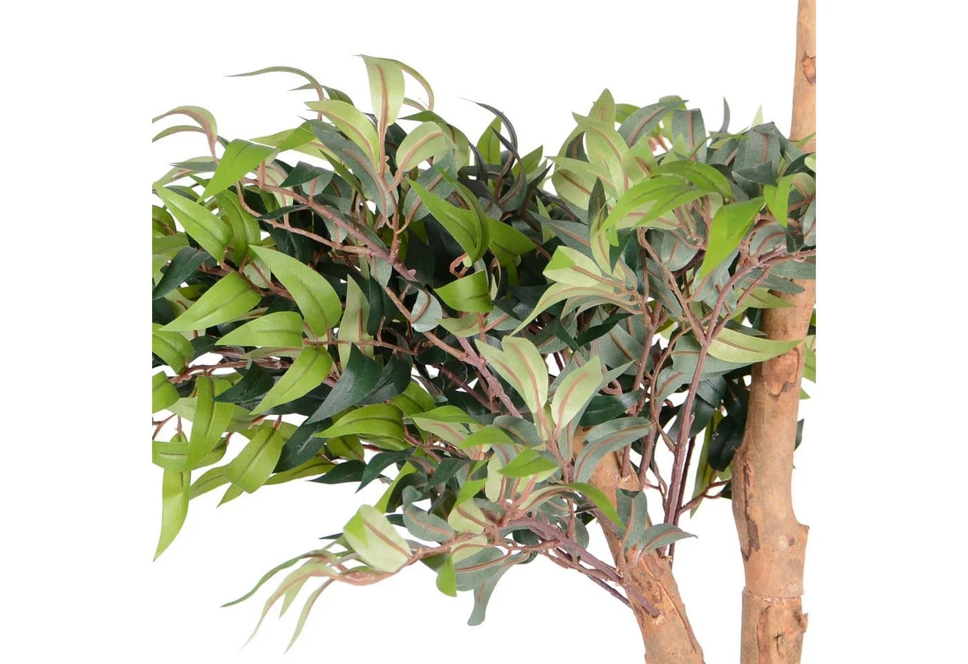 UNUS HOME Kunstpflanze Ficus mit Echtholzstamm Grün - Bild 2