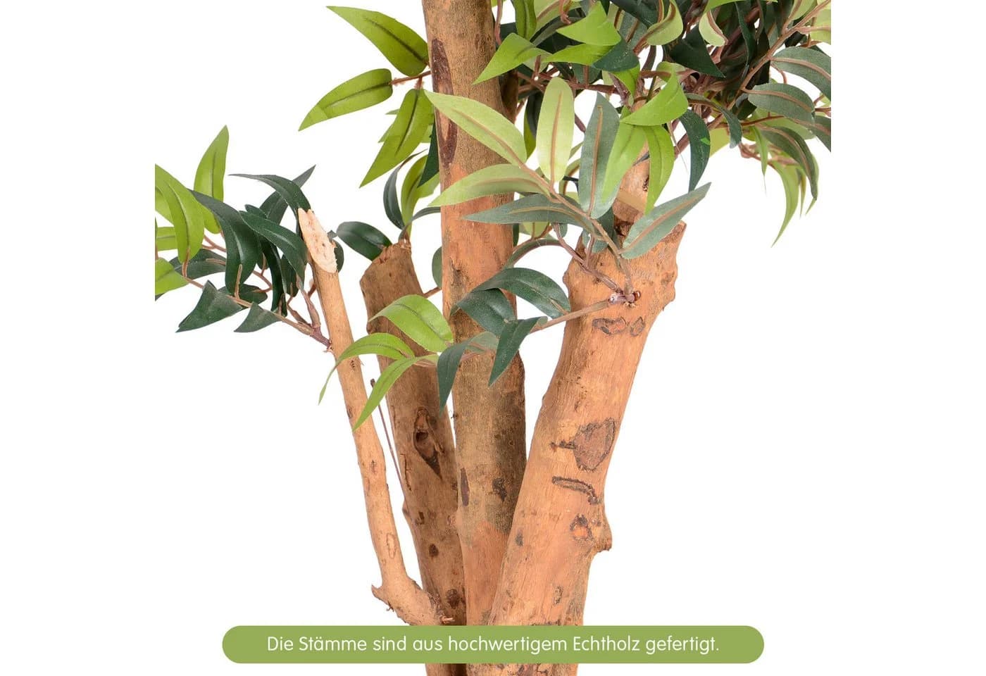 UNUS HOME Kunstpflanze Ficus mit Echtholzstamm Grün - Bild 3