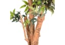 UNUS HOME Kunstpflanze Ficus mit Echtholzstamm Grün Bild 4