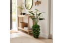 UNUS HOME Kunstpflanze Anthurie Weiß mit Vase Bild 1