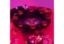 relaxdays Spiel Roulette Trinkspiel Rot/Schwarz Gold Bild 5