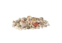 relaxdays Muschel Deko Set 2kg Bunt Meeresschnecken Bild 2