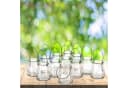 relaxdays Windlicht Glas 12er Set Transparent Bild 3