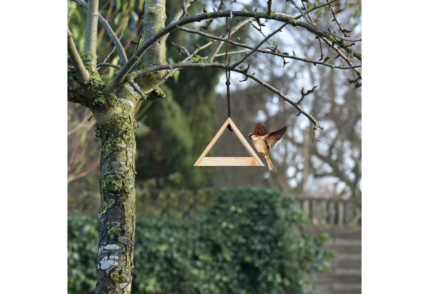 relaxdays Vogelhaus zum Aufhängen Naturholz Dreieck