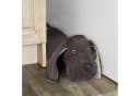 relaxdays Türstopper Hund Dunkelbraun Dackel Design Bild 1