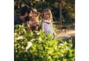 relaxdays Kinder Gartenbank mit Tier-Motiv Natur Bild 5