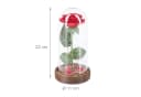 Kunstblume Ewige Rose im Glas mit Licht, relaxdays Bild 4