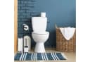 relaxdays Toilettenpapierhalter WC Garnitur mit Ablagefläche Silber/Schwarz Bild 1
