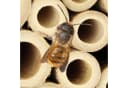 relaxdays Insektenhotel Bienenhotel mit Blumentopf 2er Set Natur Holz Bild 3