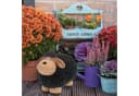 relaxdays Gartenfigur Schaf Schwarz Braun Wetterfest Bild 1