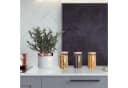 relaxdays Vorratsglas 3er Set mit Deckel 1500 ml Glas Bambus Bild 5