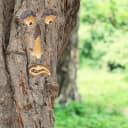 relaxdays Gartenfigur Baumgesicht 4-teilig Mehrfarbig Bild 1