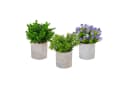 relaxdays Kunstpflanzen 3er Set Grün/Lila/Grau Beton-Optik Bild 2