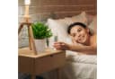 relaxdays Kunstpflanzen 3er Set Grün/Lila/Grau Beton-Optik Bild 3