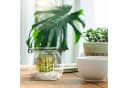 relaxdays Windlicht Glas 12er Set Transparent/Schwarz Bild 5