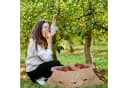 relaxdays Jutesack 3er Set Natur Bild 1