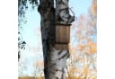 relaxdays Fledermauskasten aus Holz Braun mit Anflugbrett Bild 1