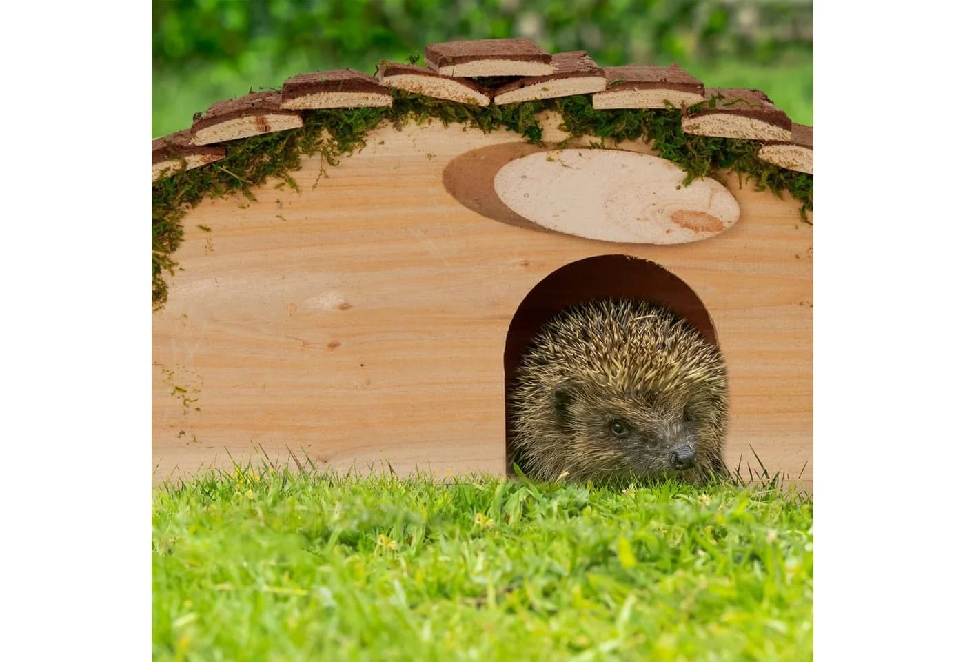 relaxdays Igelhaus mit Boden Tanne Natur/Grün