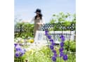 relaxdays Rankgitter 2er Set Schwarz Stahl Kunststoff Bild 5