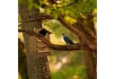 relaxdays Vogelhaus Eulen Nistkasten Holz Braun Bild 5