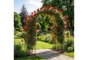 RELAXDAYS Rosenbogen aus Metall XXL für Kletterpflanzen Bild 3