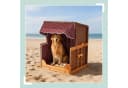 relaxdays Hundestrandkorb Holz & Rattan mit Napf maritim Bild 3